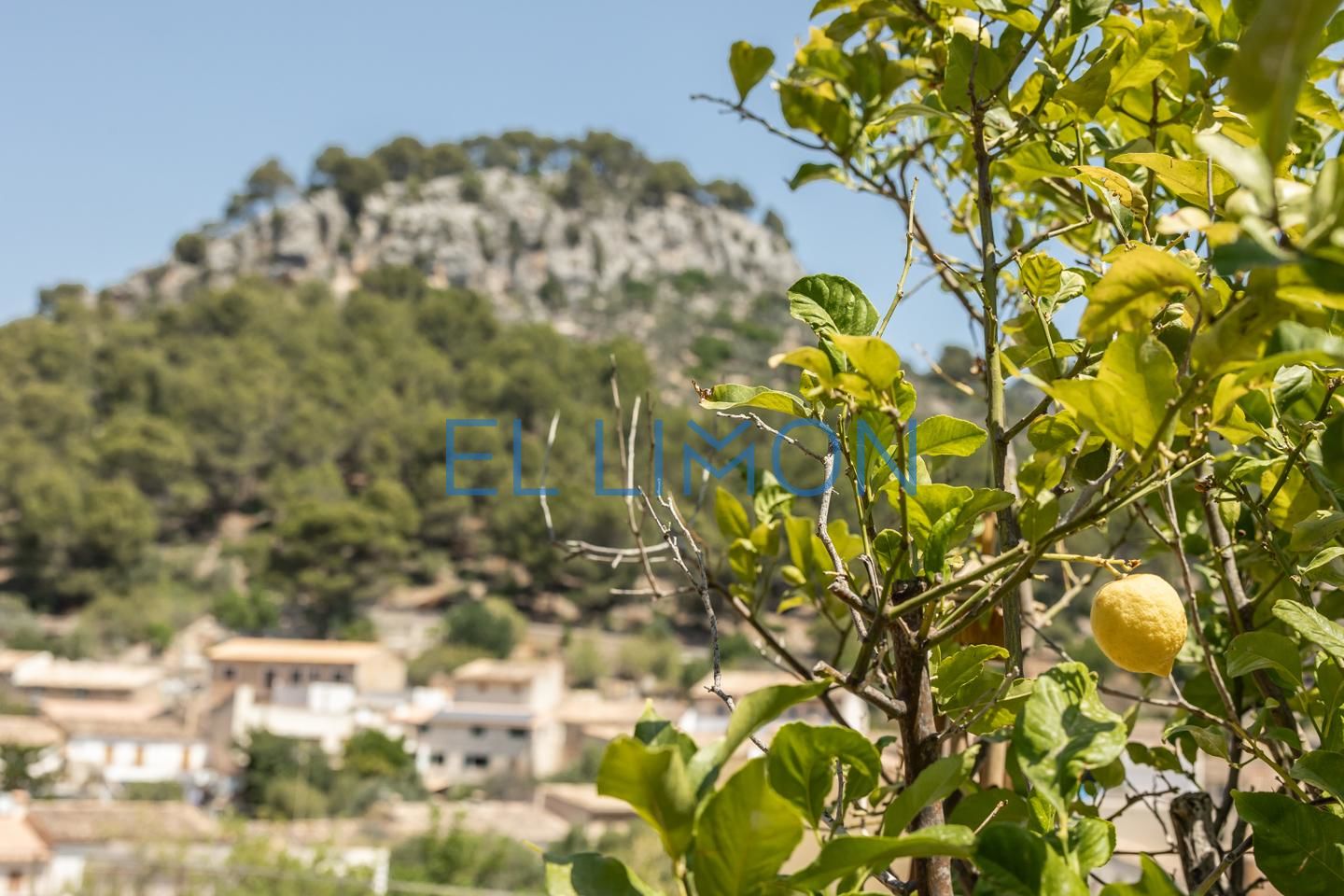 5 Bed, 3 Bath, HouseFor Sale, Caimari, Illes Balears, 07314 5 Bed, 3 Bath, HouseFor Sale, Caimari, Illes Balears, 07314