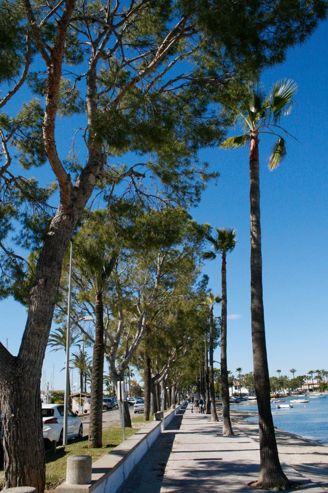 2 Bed, 2 Bath, ApartmentFor Sale, Alcudia, Illes Balears, 07400