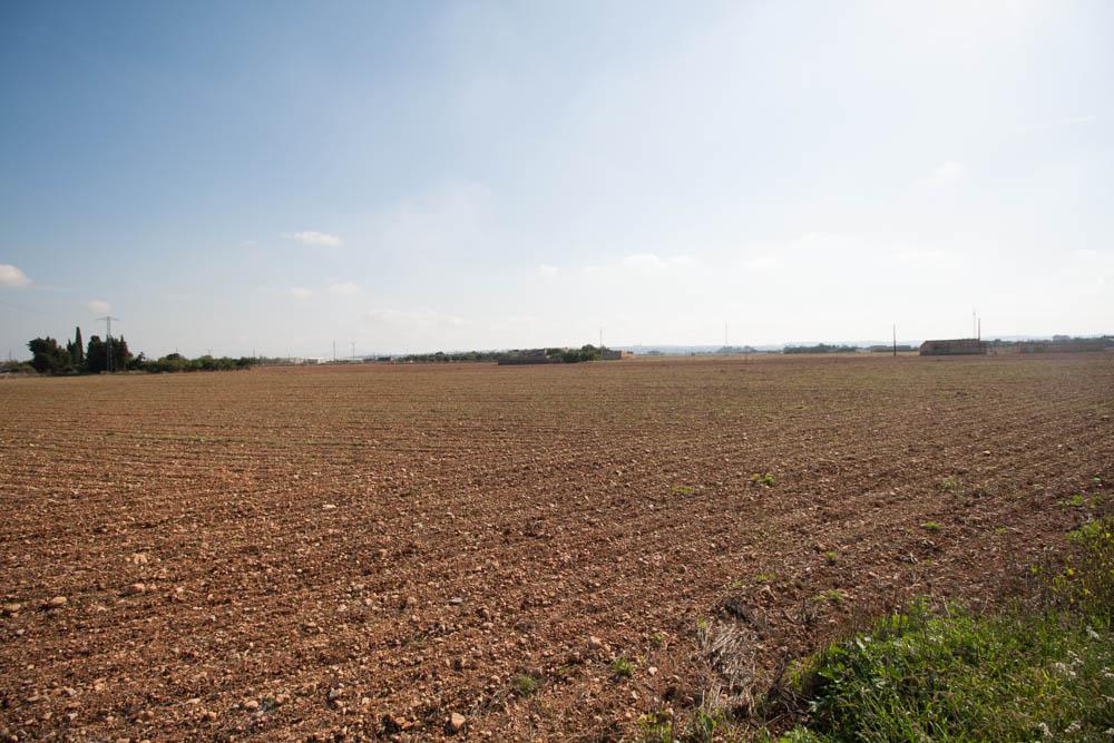 HouseFor Sale, Sa Pobla, Illes Balears, 07420