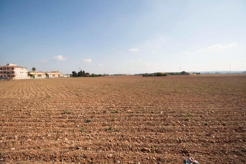 HouseFor Sale, Sa Pobla, Illes Balears, 07420