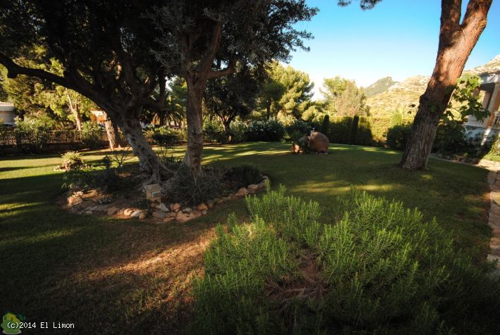 1 Bed, 1 Bath, ApartmentFor Sale, Soi Suanwat, Rawai Sub-District, Muang District, P, Phuket, NaiHarn, South