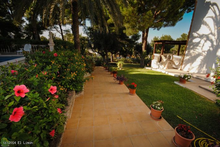 1 Bed, 1 Bath, ApartmentFor Sale, Soi Suanwat, Rawai Sub-District, Muang District, P, Phuket, NaiHarn, South