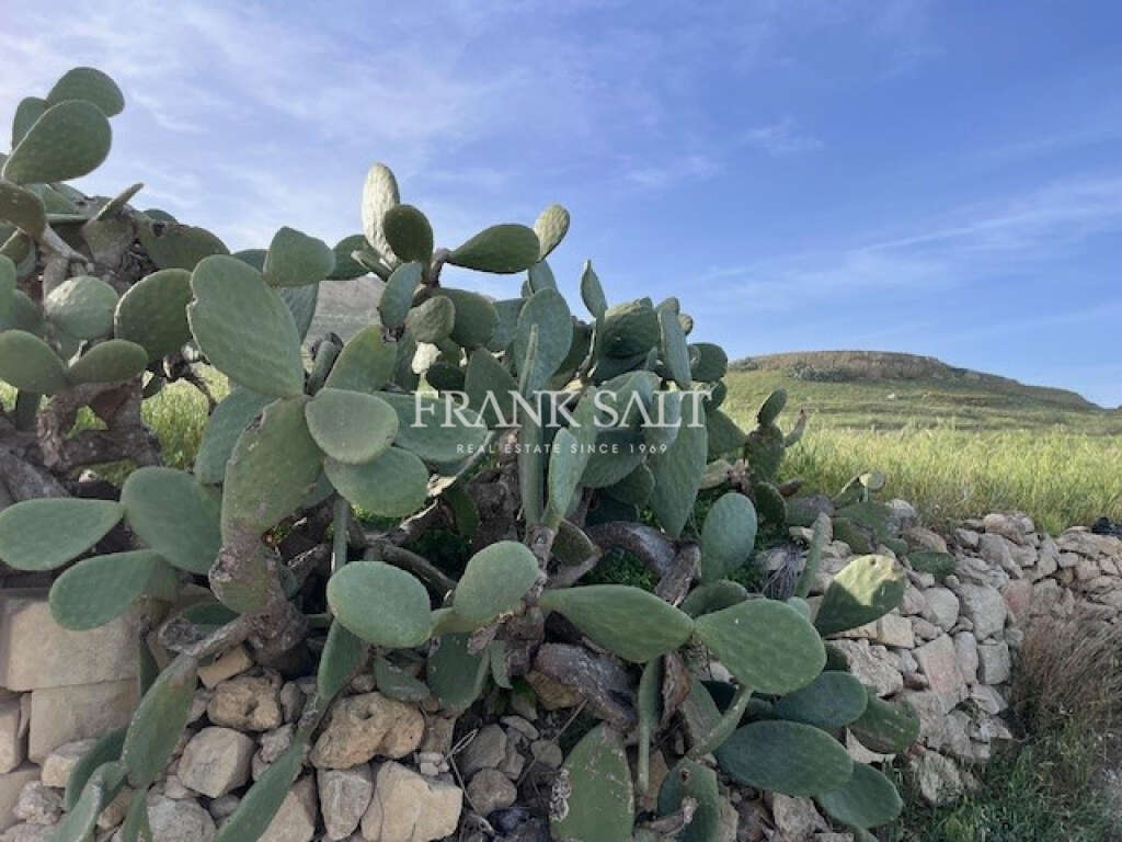 Commercial Property, For Sale