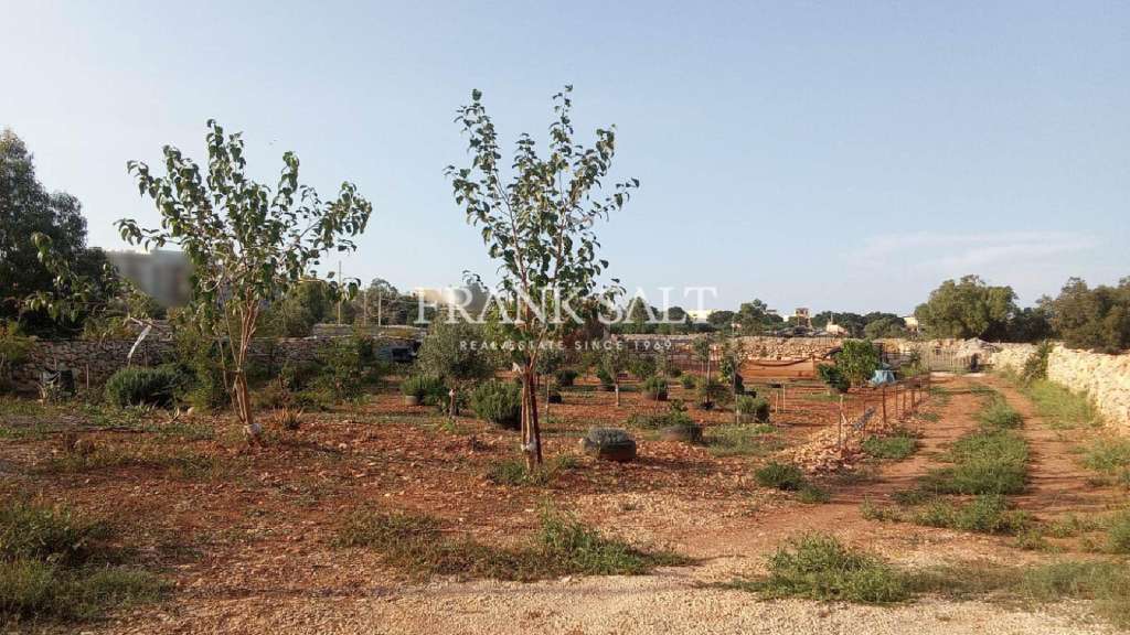 Commercial Property, For Sale