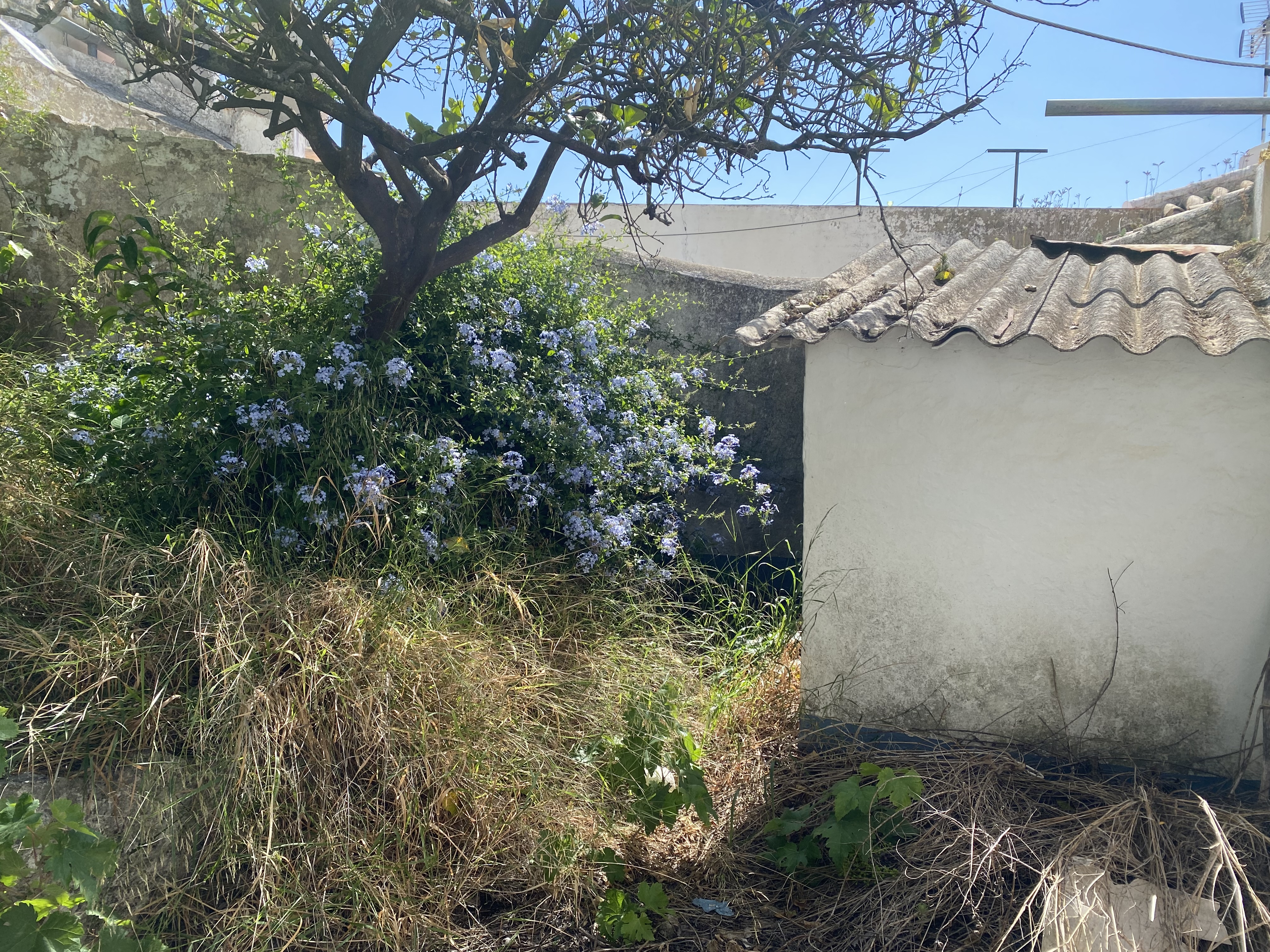 3 Bed, 1 Bath, HouseFor Sale, Olvera, Andalucia