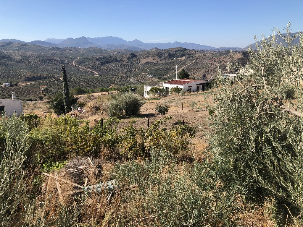 4 Bed, 1 Bath, HouseFor Sale, Olvera, Andalucia