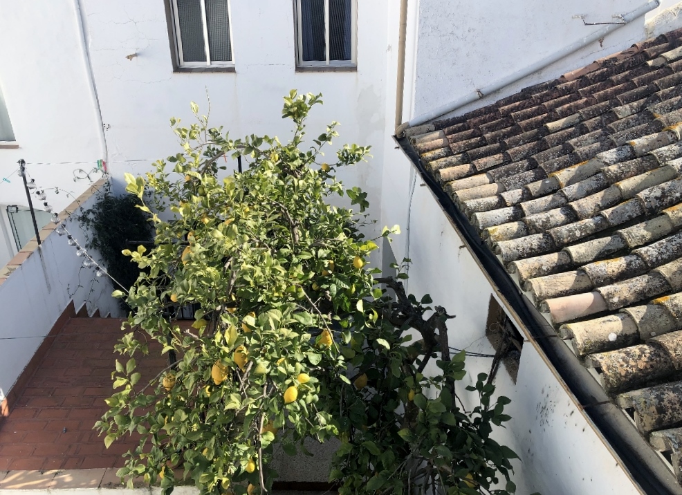 3 Bed, 2 Bath, HouseFor Sale, Olvera, Andalucia