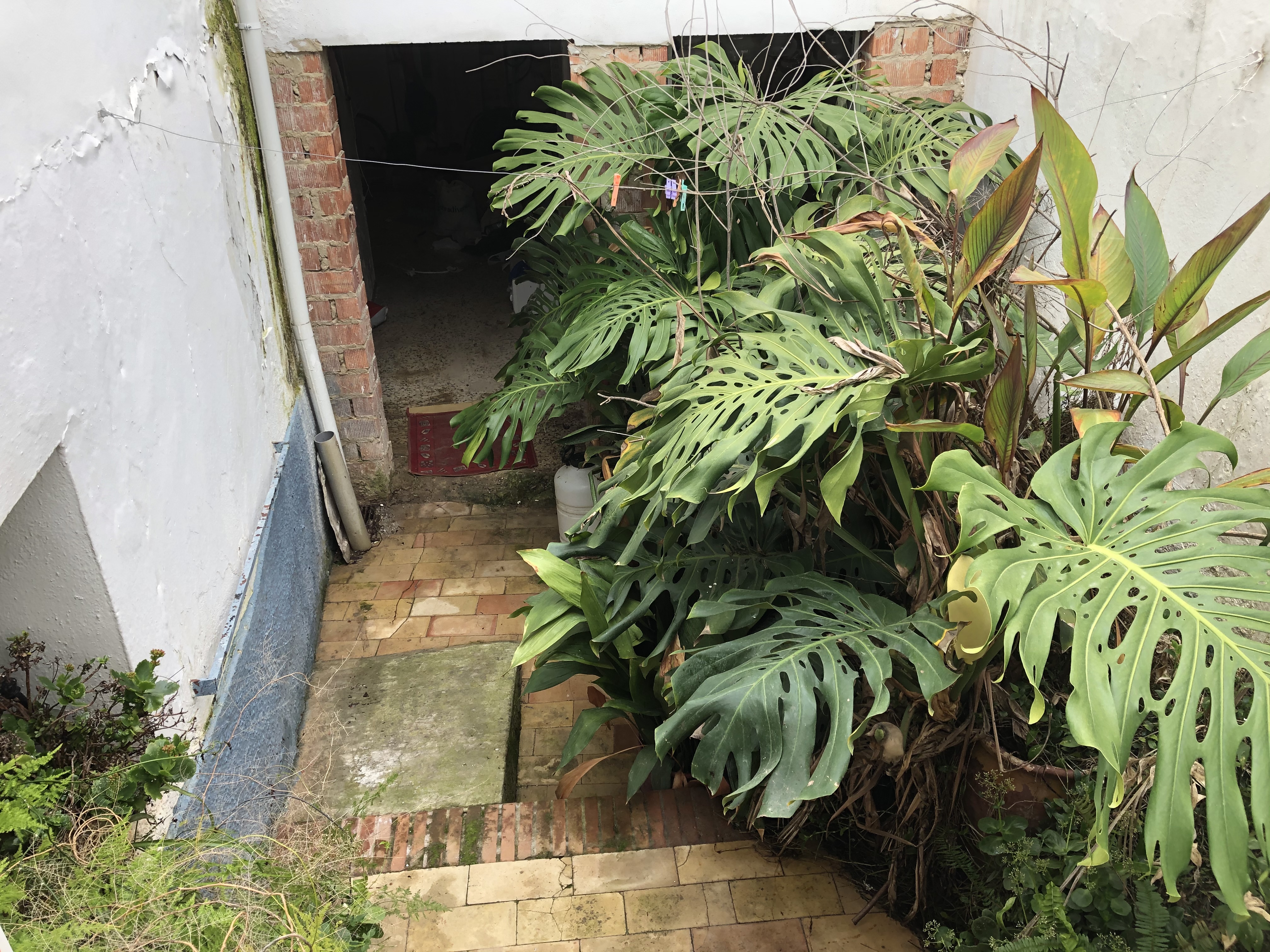 7 Bed, 3 Bath, HouseFor Sale, Olvera, Andalucia