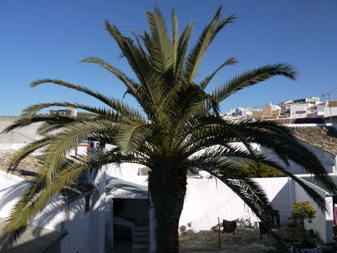 5 Bed, 3 Bath, HouseFor Sale, Pruna, Andalucia