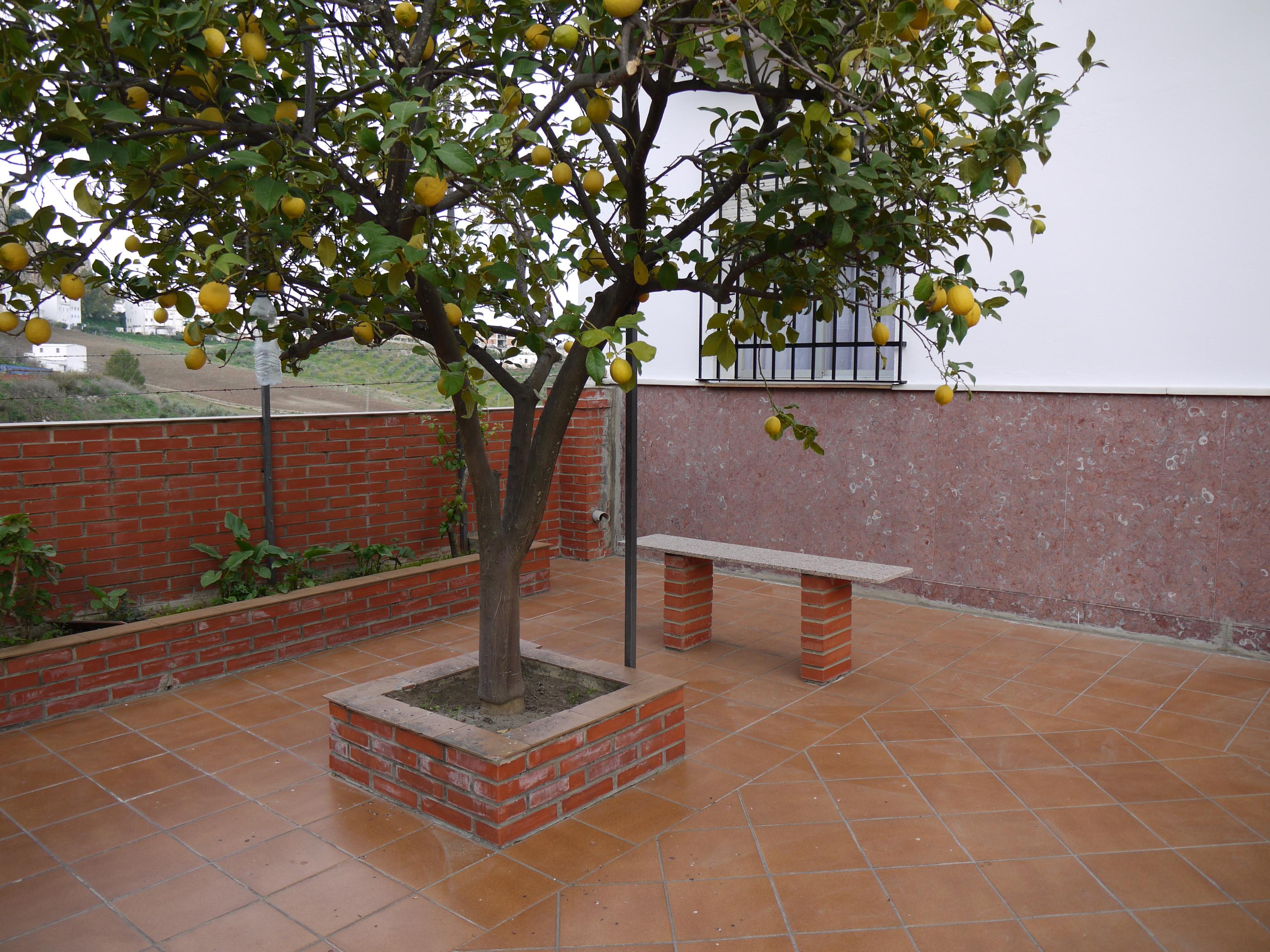 6 Bed, 2 Bath, HouseFor Sale, Olvera, Andalucia