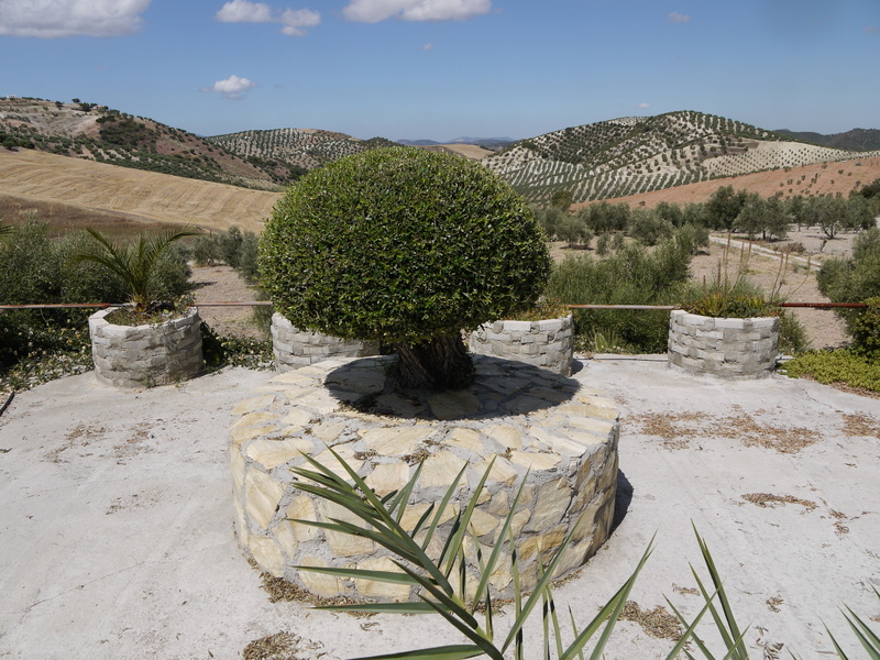 3 Bed, 1 Bath, HouseFor Sale, Pruna, Andalucia