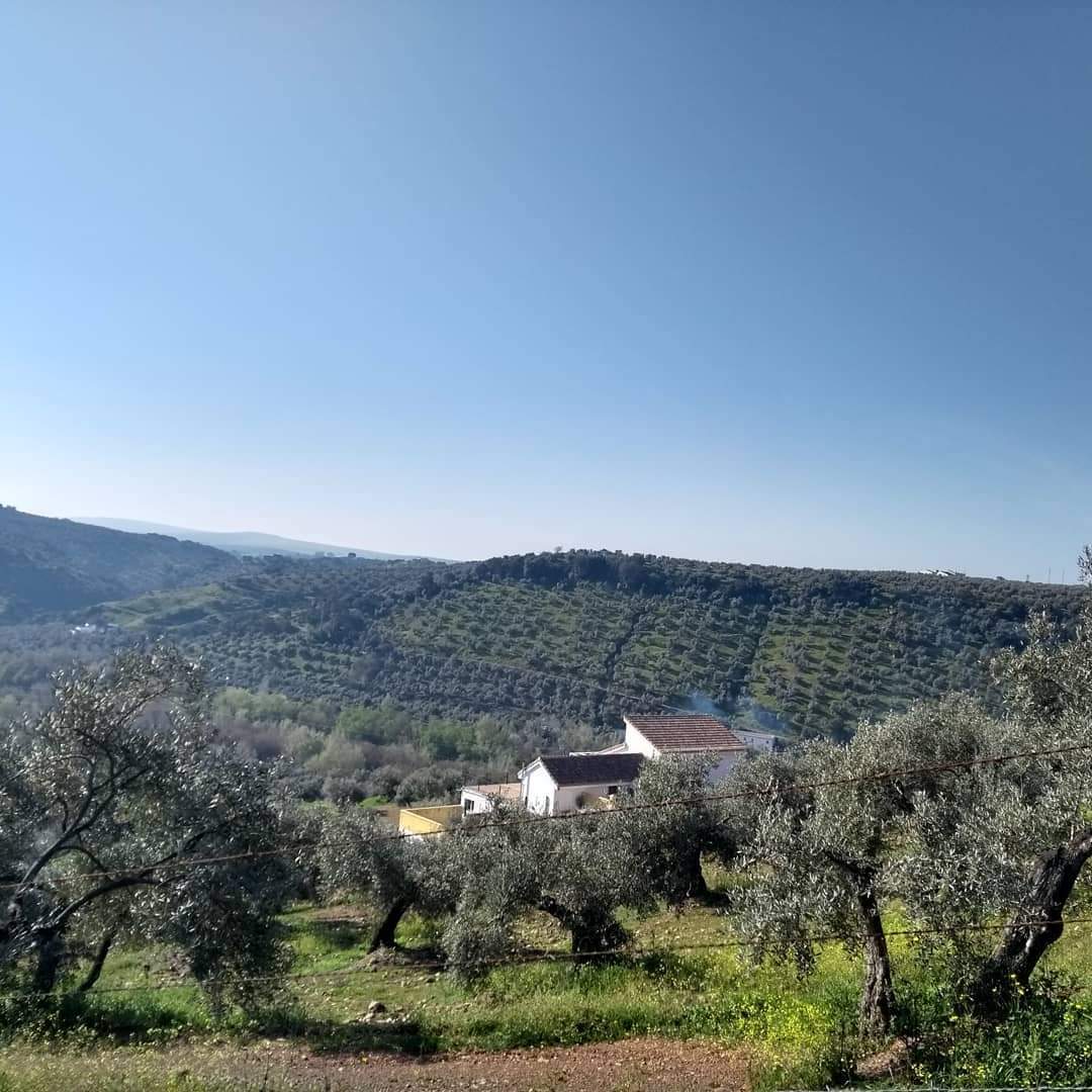 6 Bed, 3 Bath, HouseFor Sale, Montoro, Andalucia