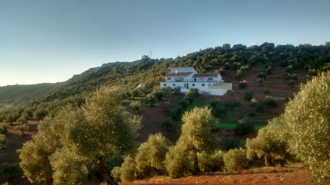 6 Bed, 3 Bath, HouseFor Sale, Montoro, Andalucia