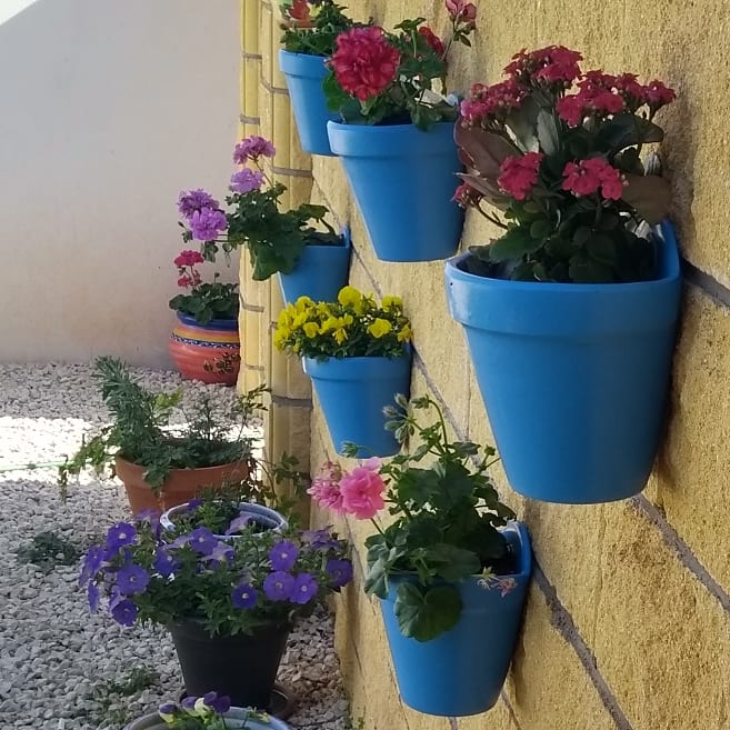 6 Bed, 3 Bath, HouseFor Sale, Montoro, Andalucia