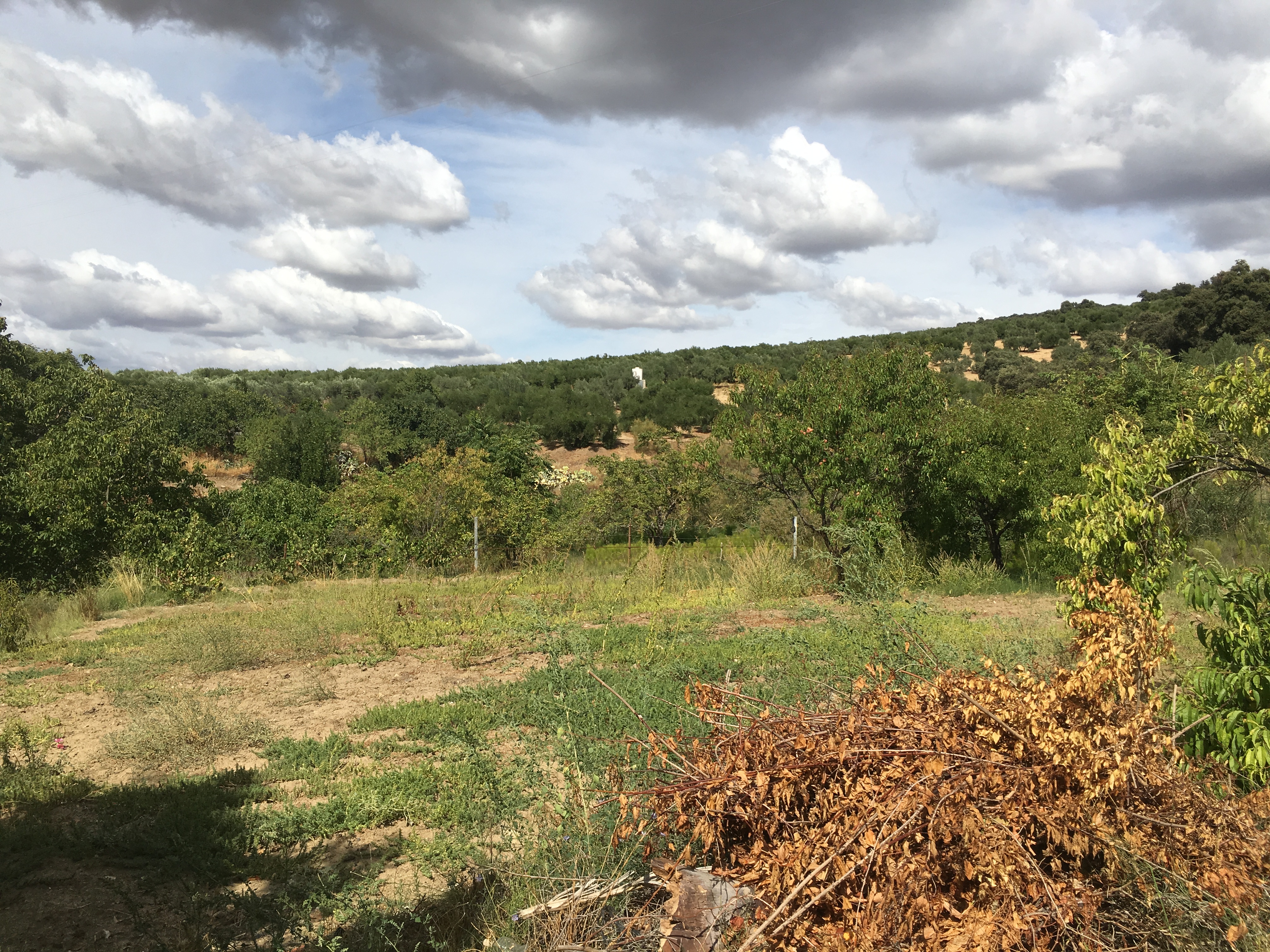 3 Bed, 1 Bath, HouseFor Sale, Ronda, Andalucia