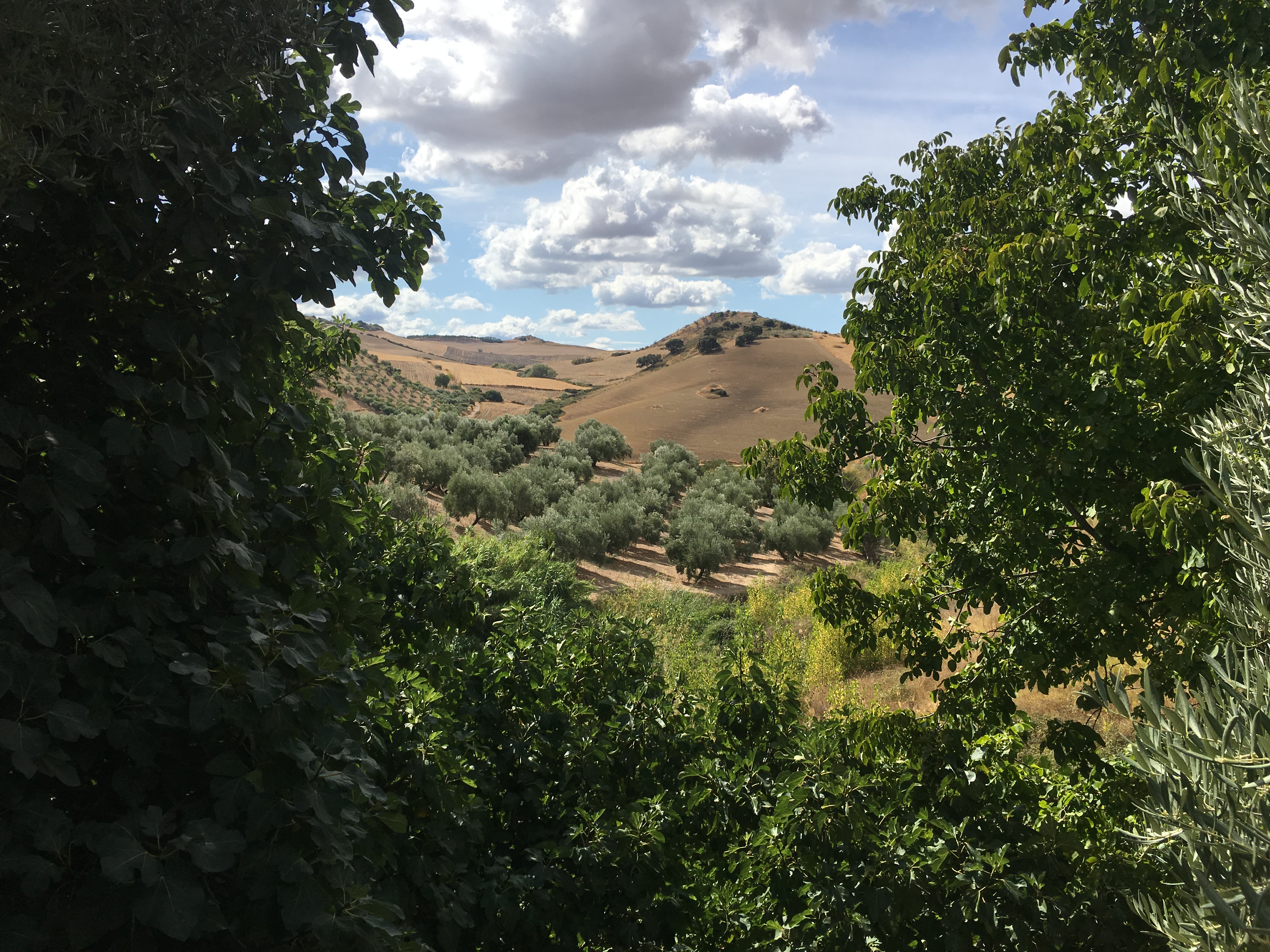 3 Bed, 1 Bath, HouseFor Sale, Ronda, Andalucia