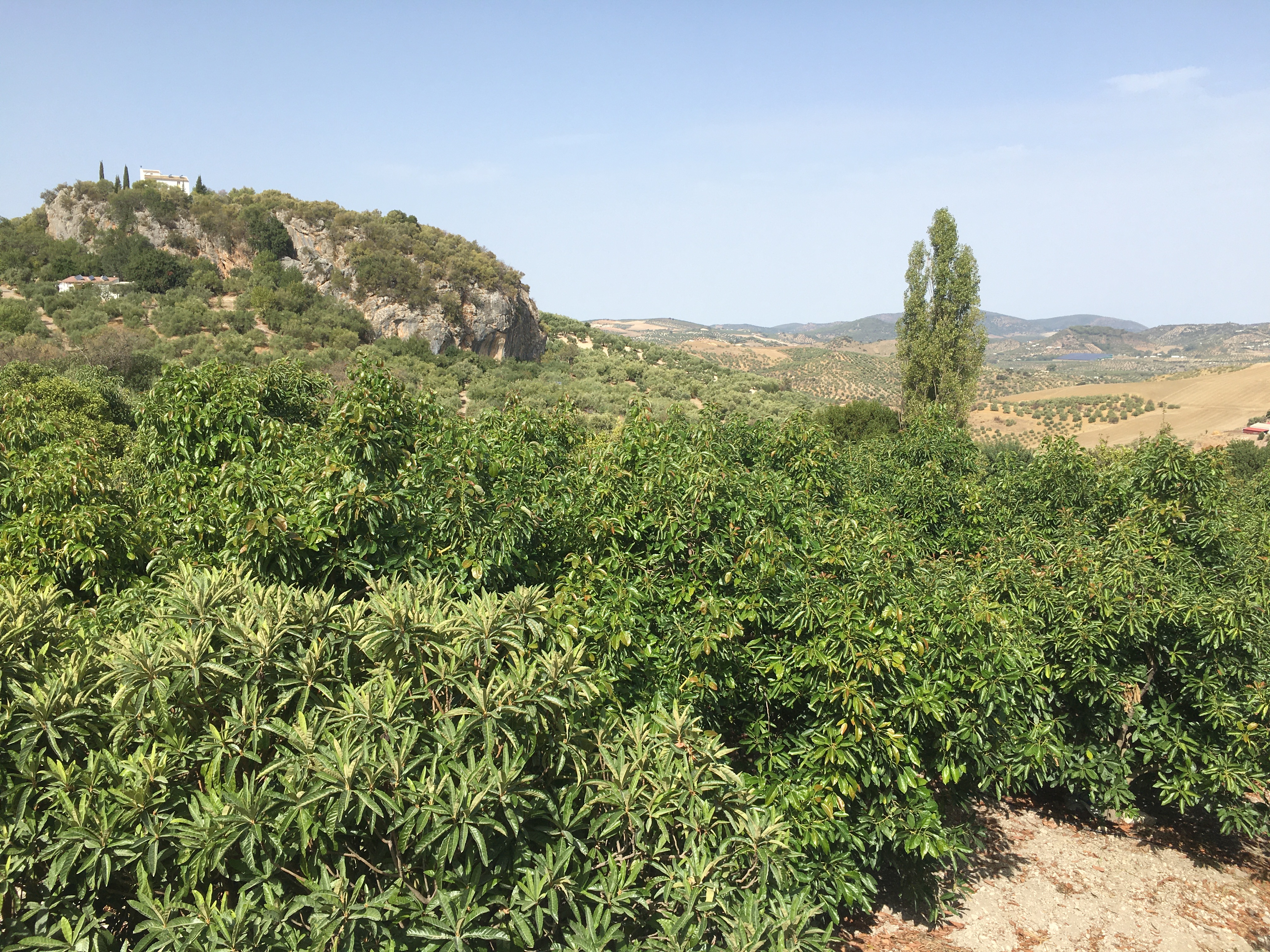 2 Bed, 1 Bath, HouseFor Sale, Zahara de La Sierra, Andalucia 2 Bed, 1 Bath, HouseFor Sale, Zahara de La Sierra, Andalucia