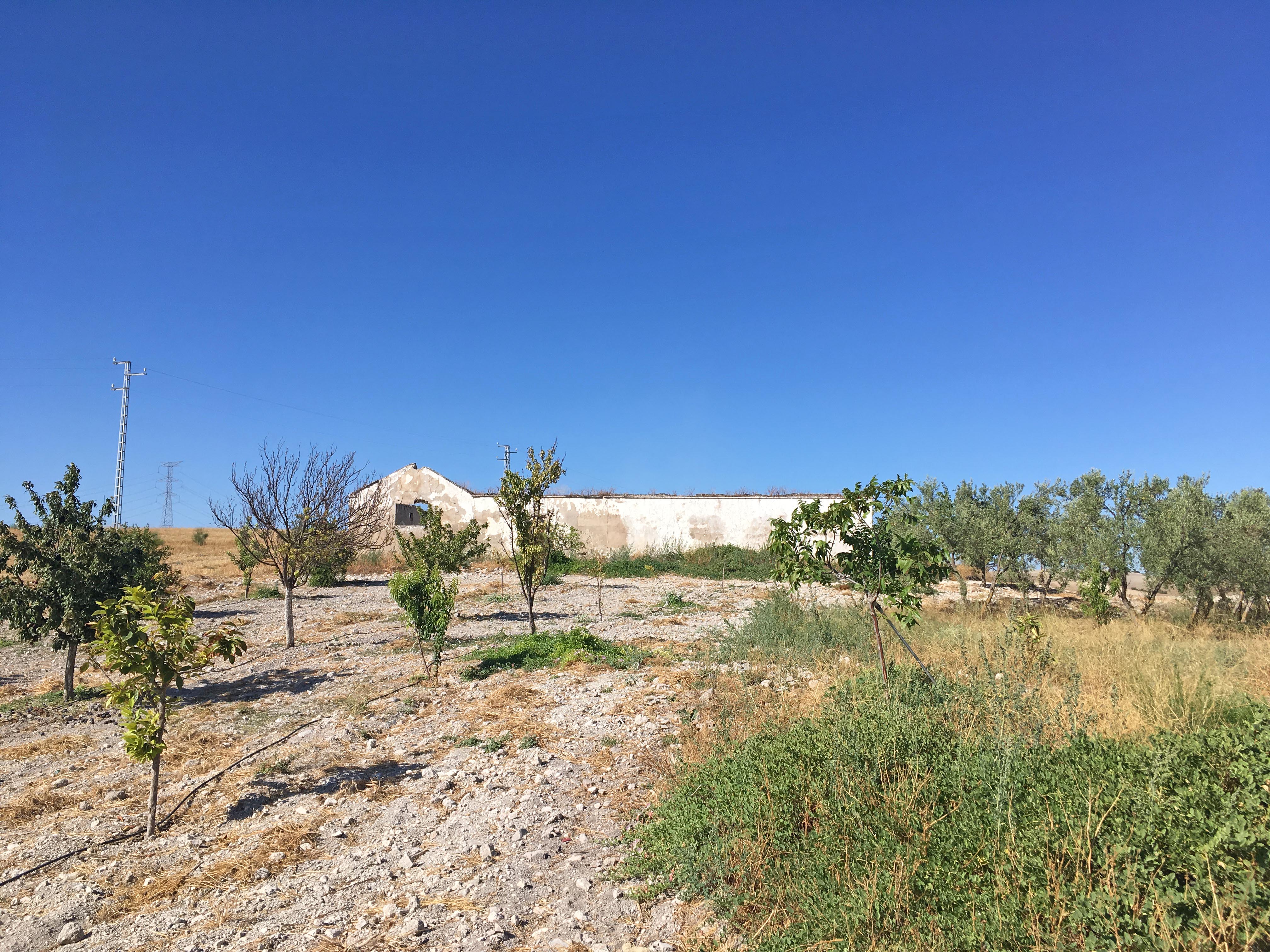 6 Bed, 2 Bath, HouseFor Sale, Moron de La Frontera, Andalucia