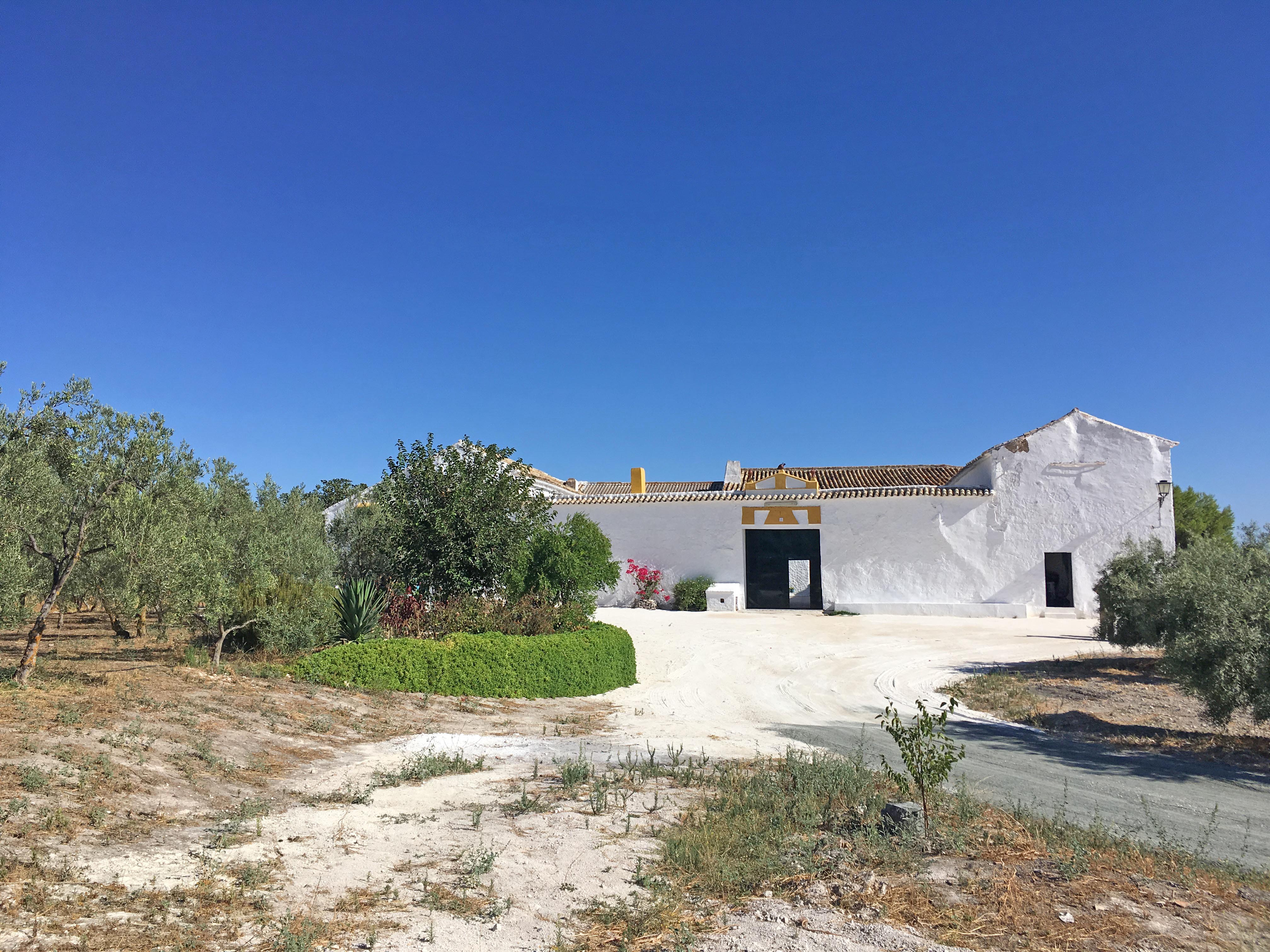 6 Bed, 2 Bath, HouseFor Sale, Moron de La Frontera, Andalucia