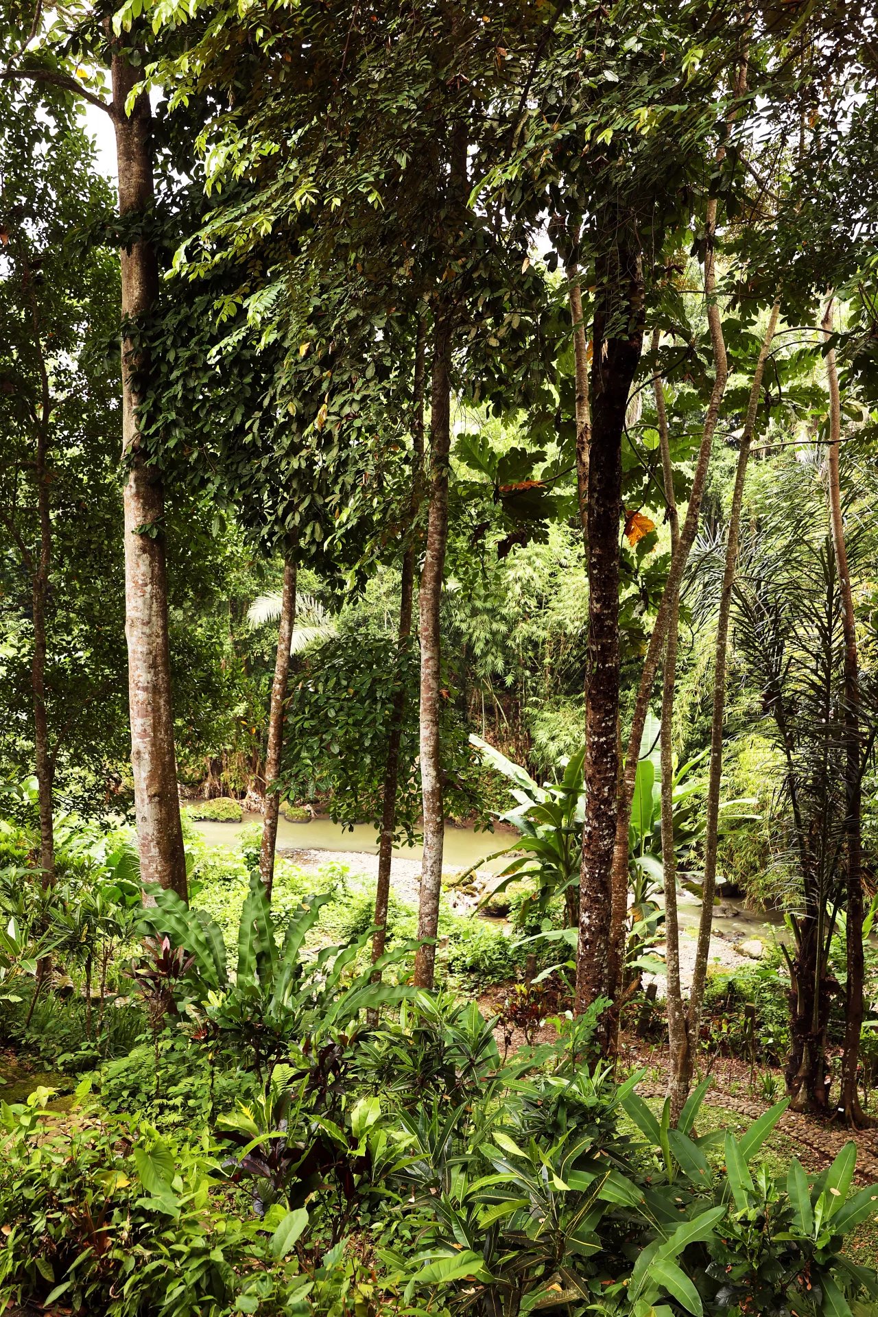 4 Bed, 4 Bath, HouseFor Sale, Tabanan, Bali