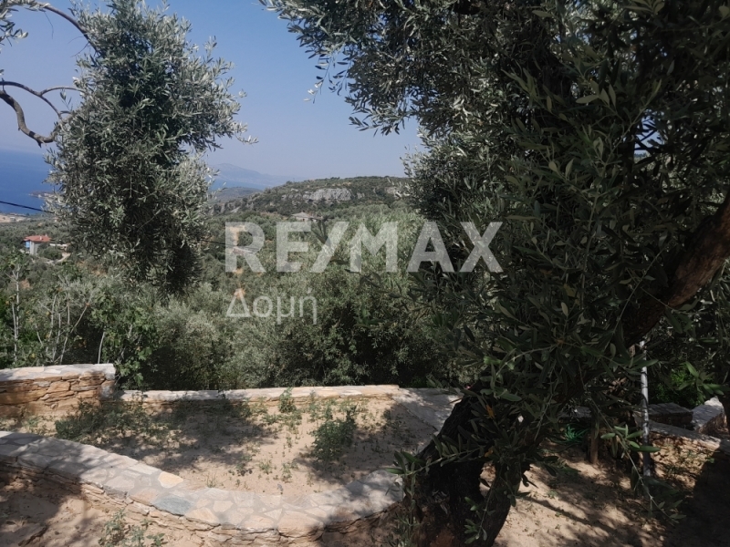 Commercial Property, For Sale Commercial Property, For Sale