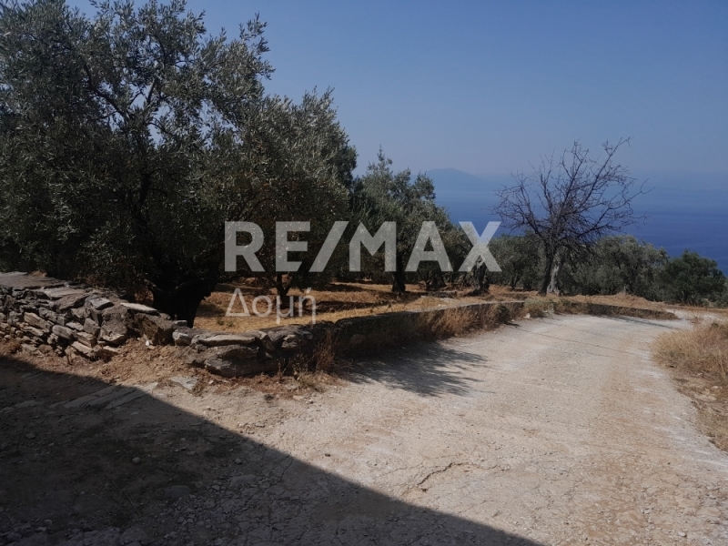 Commercial Property, For Sale Commercial Property, For Sale