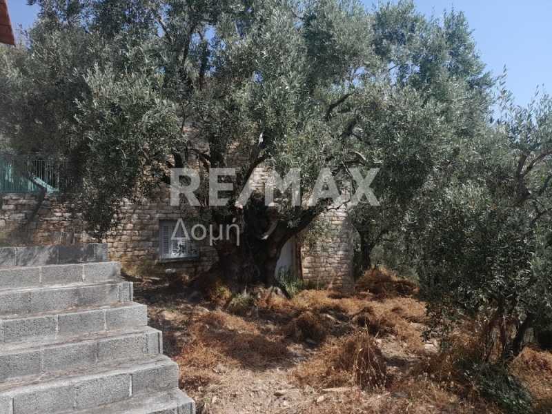 Commercial Property, For Sale Commercial Property, For Sale