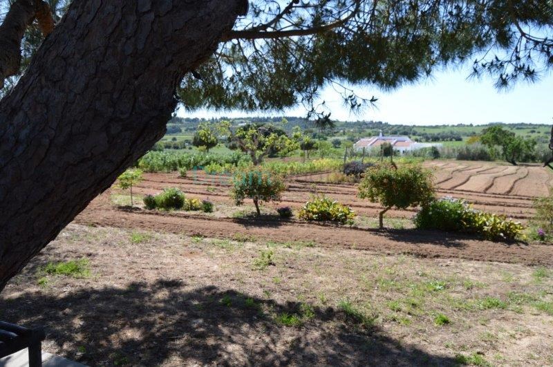 4 Bed, 6 Bath, HouseFor Sale, Phuket, Thalang, North