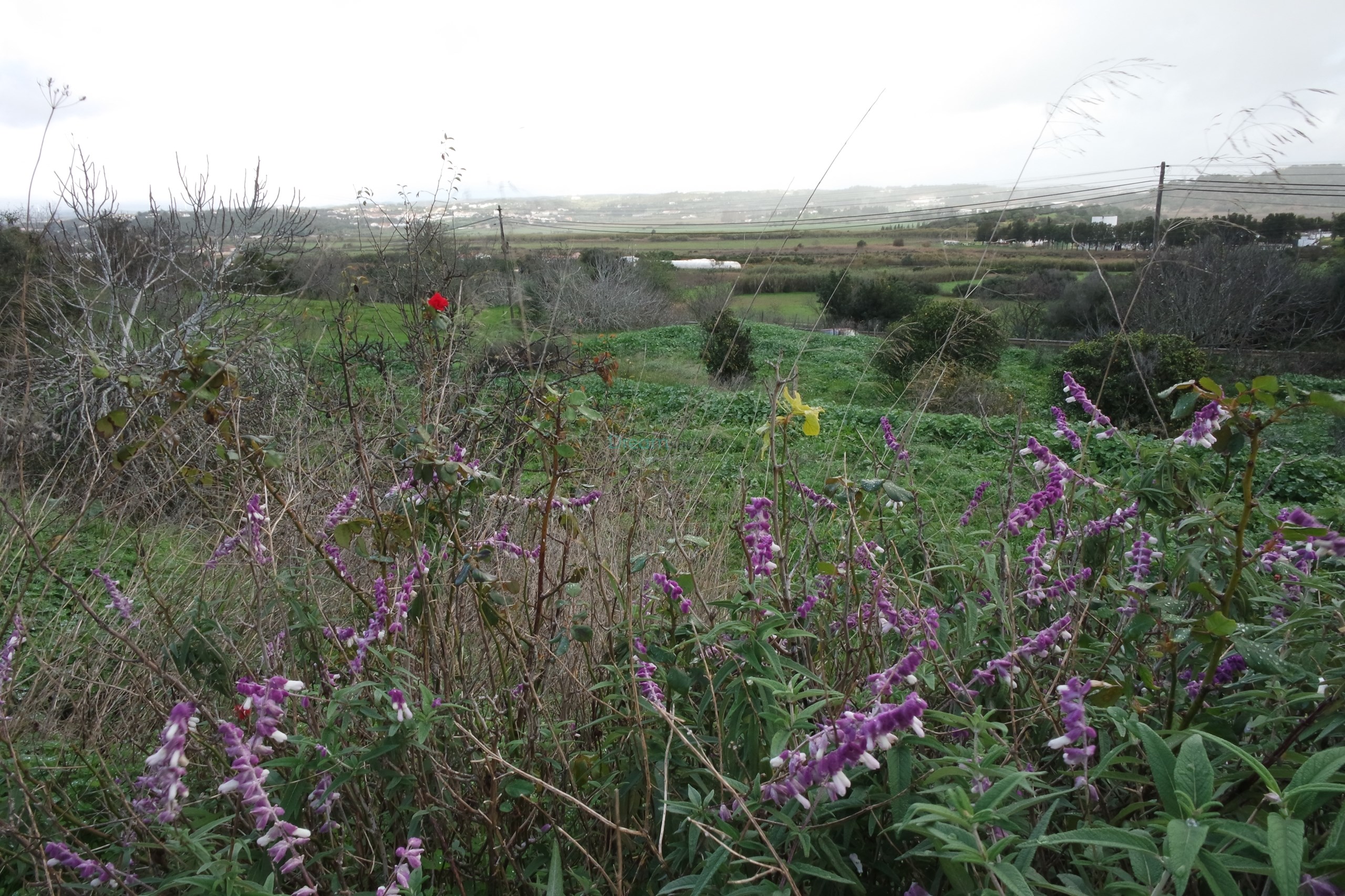 5 Bed, 2 Bath, HouseFor Sale, Lagos, Faro, 8600-308