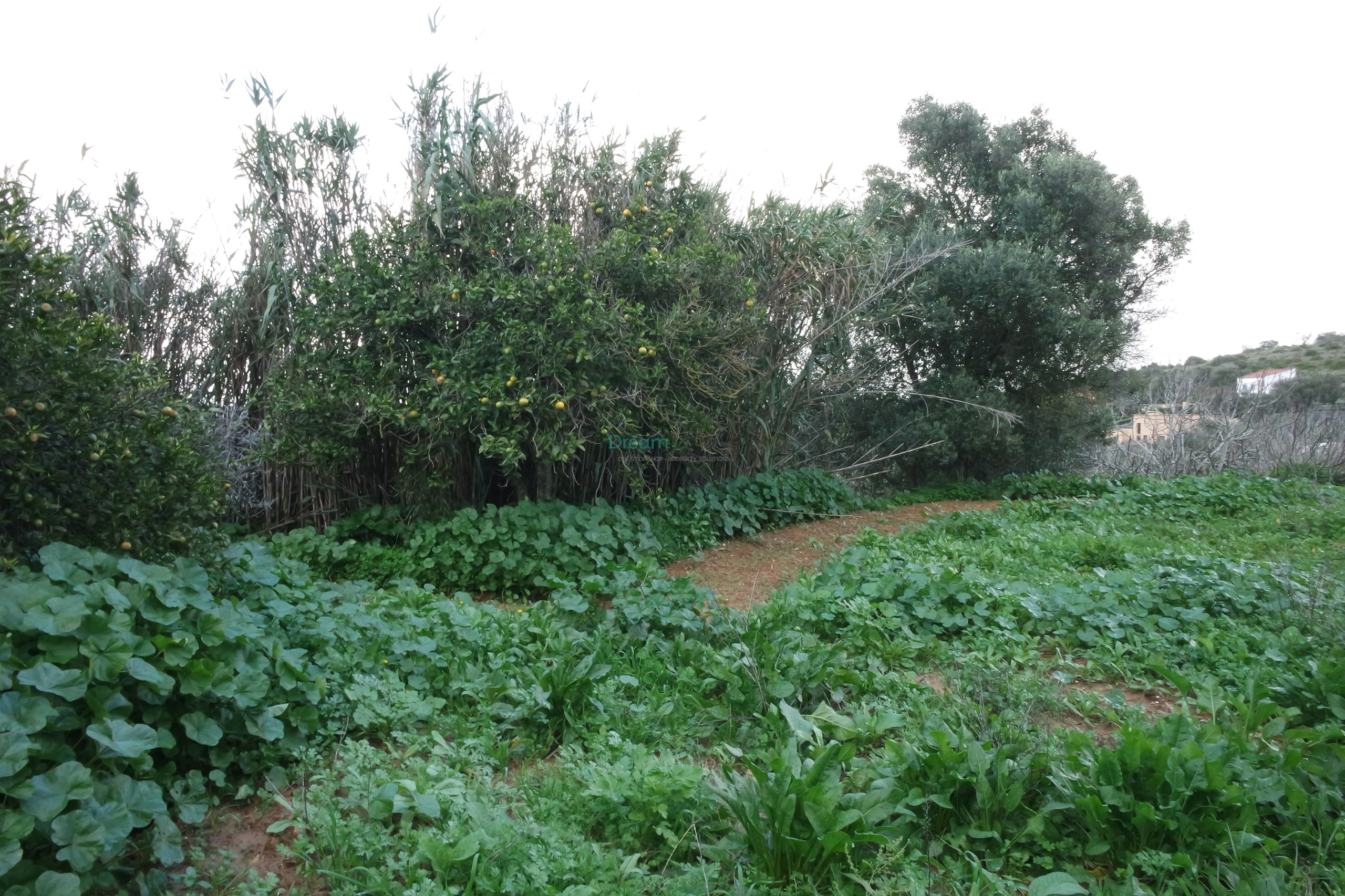 5 Bed, 2 Bath, HouseFor Sale, Lagos, Faro, 8600-308