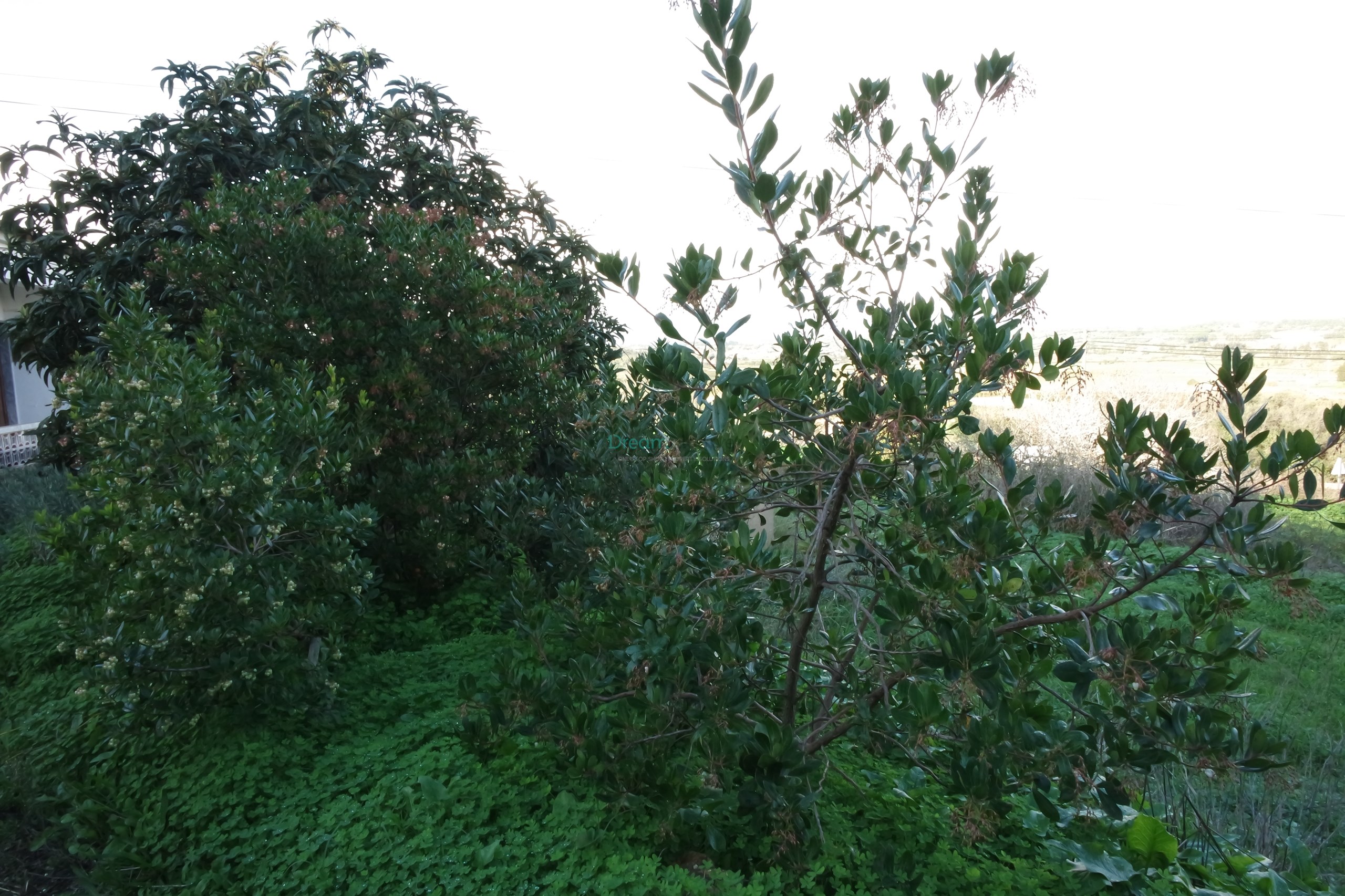 5 Bed, 2 Bath, HouseFor Sale, Lagos, Faro, 8600-308