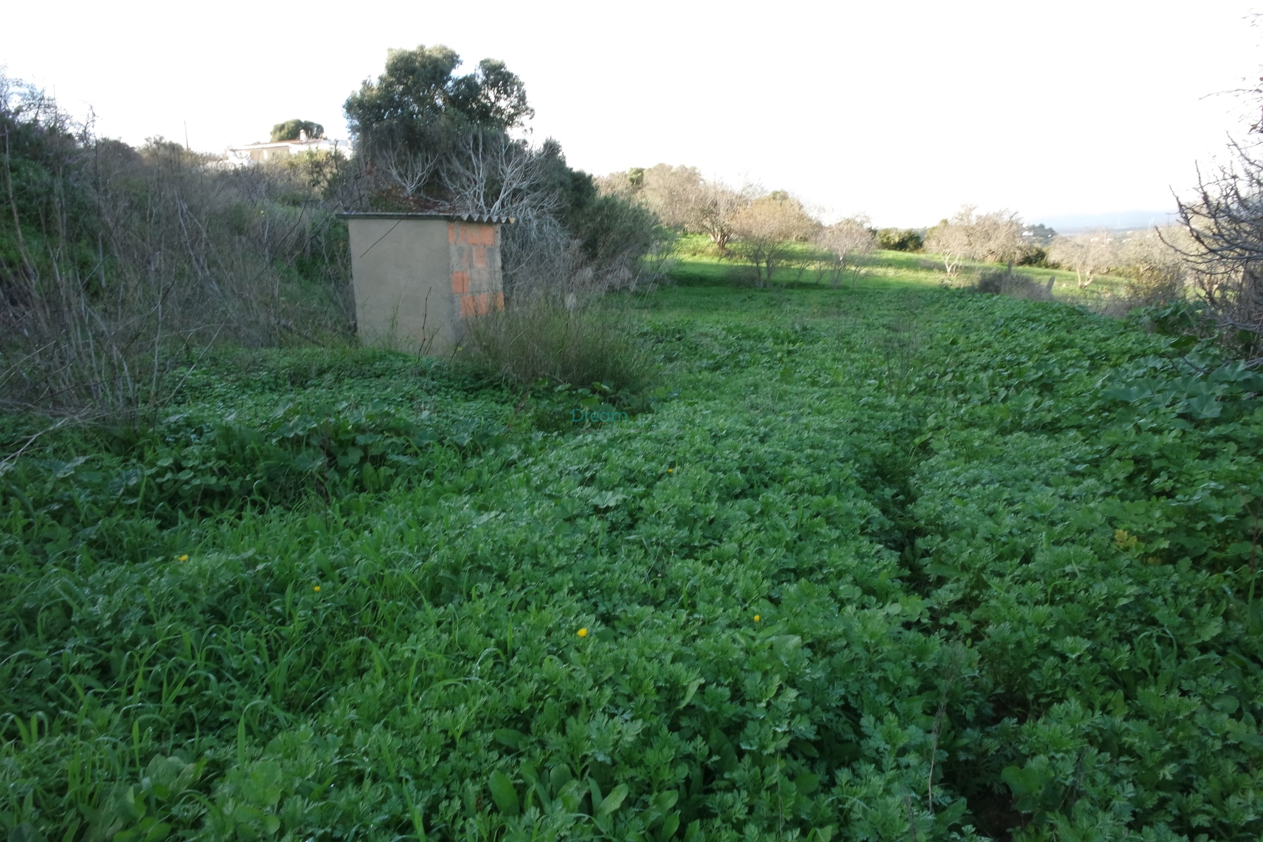 5 Bed, 2 Bath, HouseFor Sale, Lagos, Faro, 8600-308