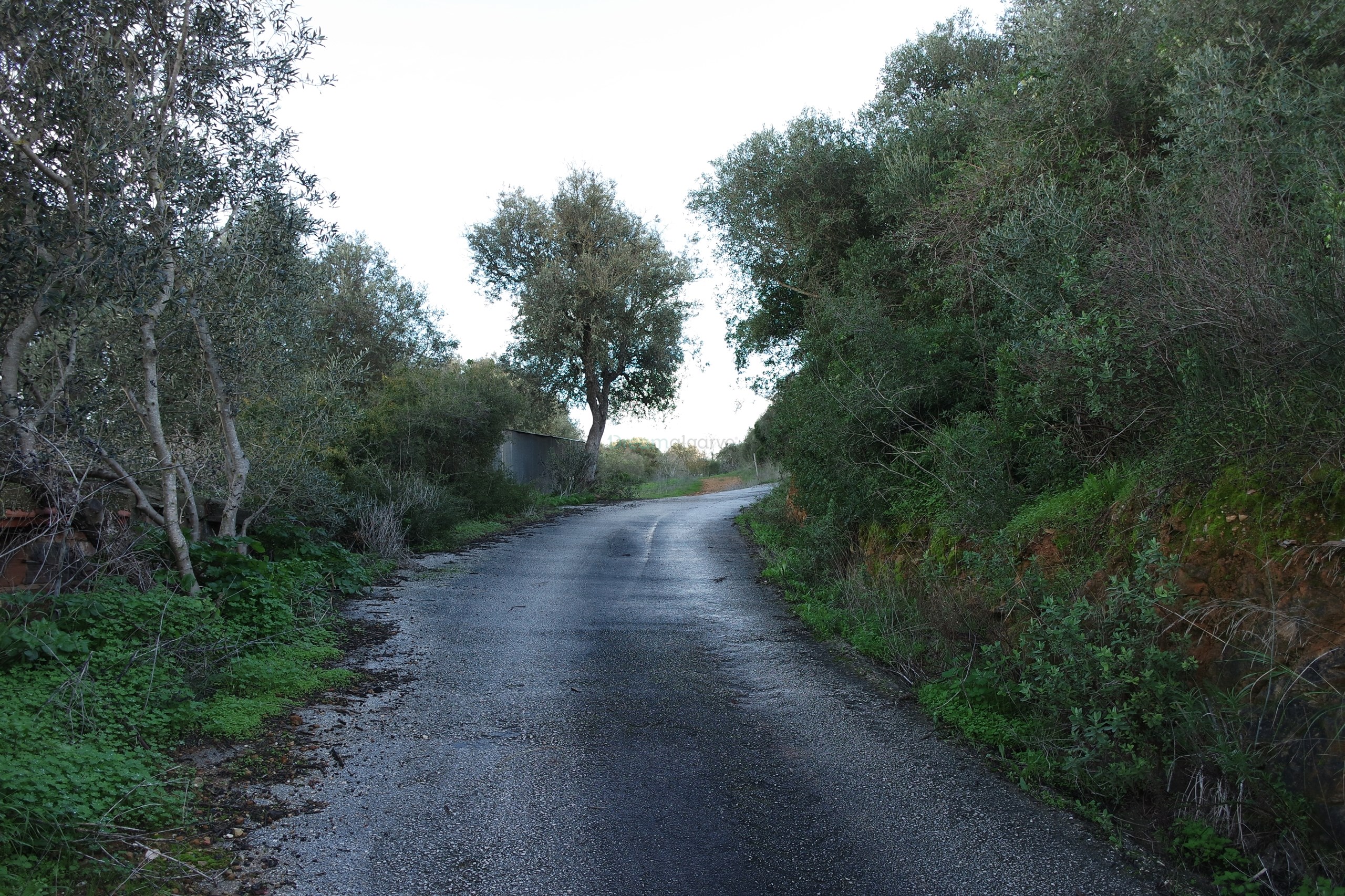 5 Bed, 2 Bath, HouseFor Sale, Lagos, Faro, 8600-308