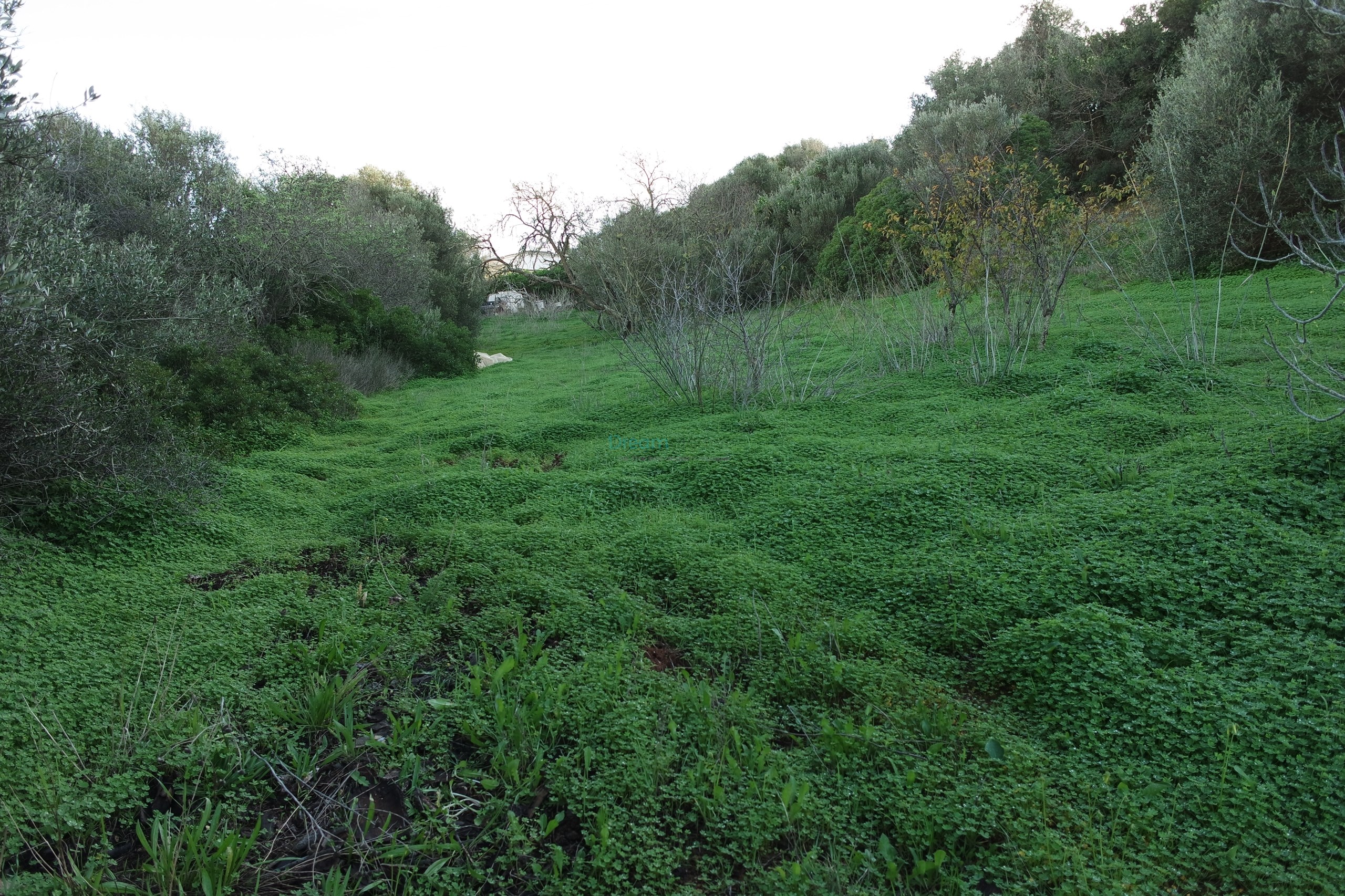 5 Bed, 2 Bath, HouseFor Sale, Lagos, Faro, 8600-308