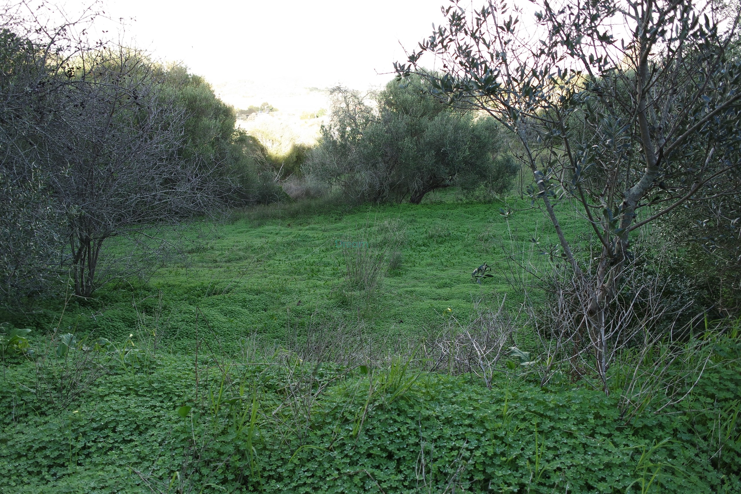 5 Bed, 2 Bath, HouseFor Sale, Lagos, Faro, 8600-308