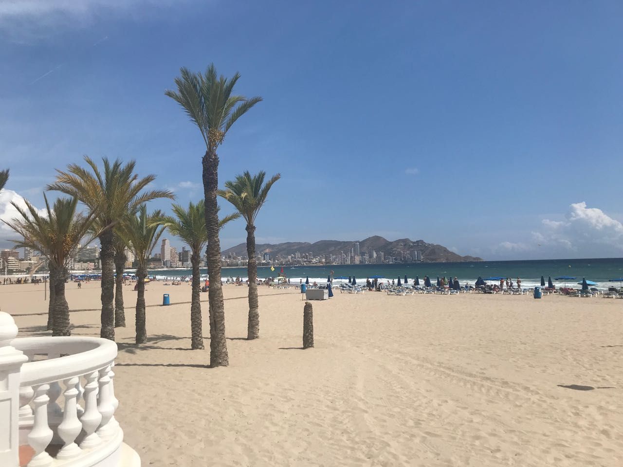 Benidorm, Alicante, 3 Bedrooms Bedrooms, ,For Sale,AP0933 - OPF