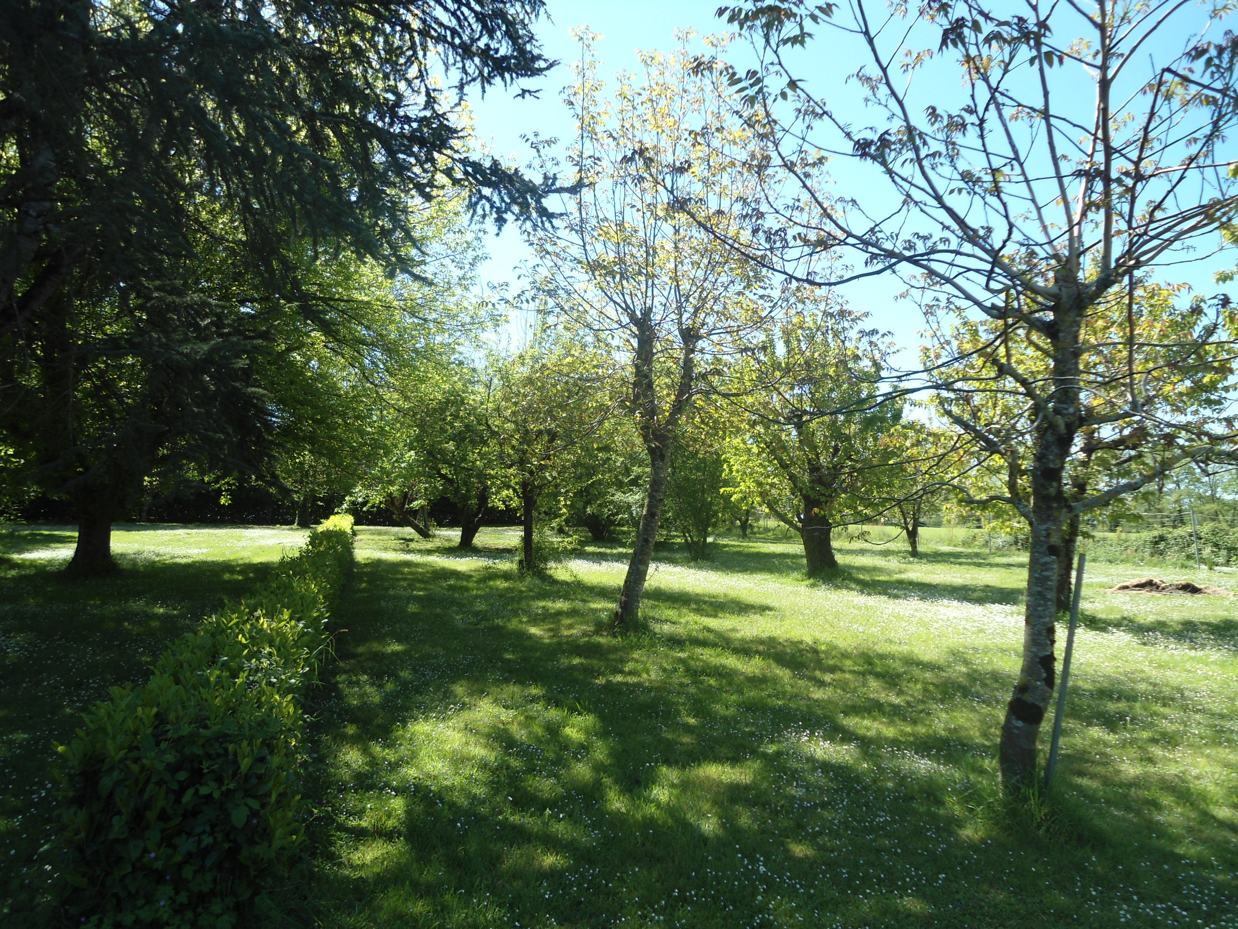 7 Bed, 1 Bath, HouseFor Sale, Eymet, Dordogne, Aquitaine, 24500