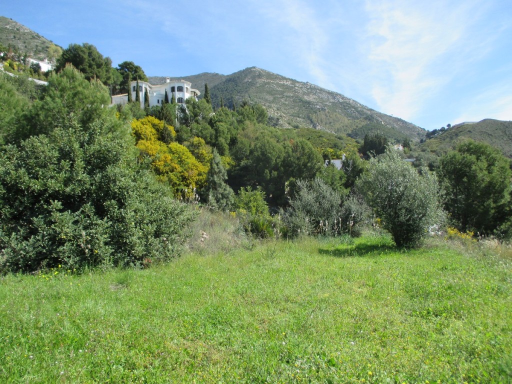 Land, For Sale Land, For Sale