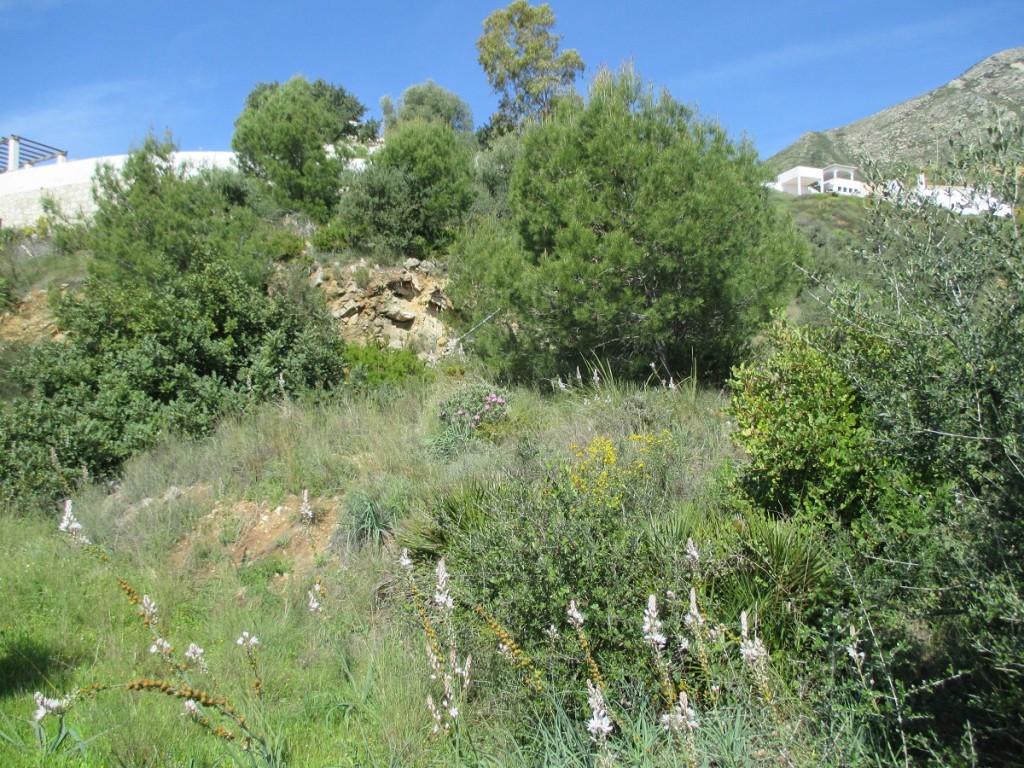 Land, For Sale Land, For Sale