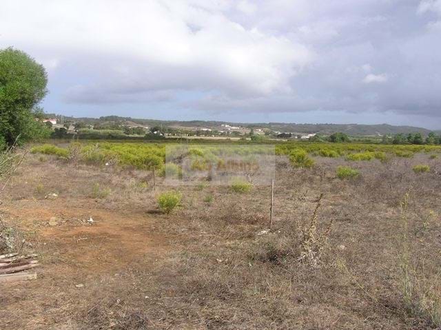 Land, For Sale