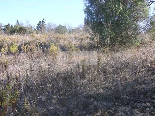 Land, For Sale