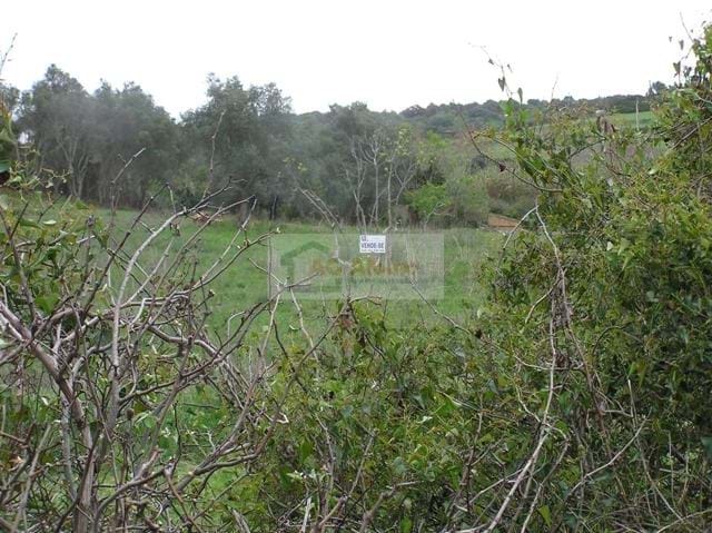 Land, For Sale