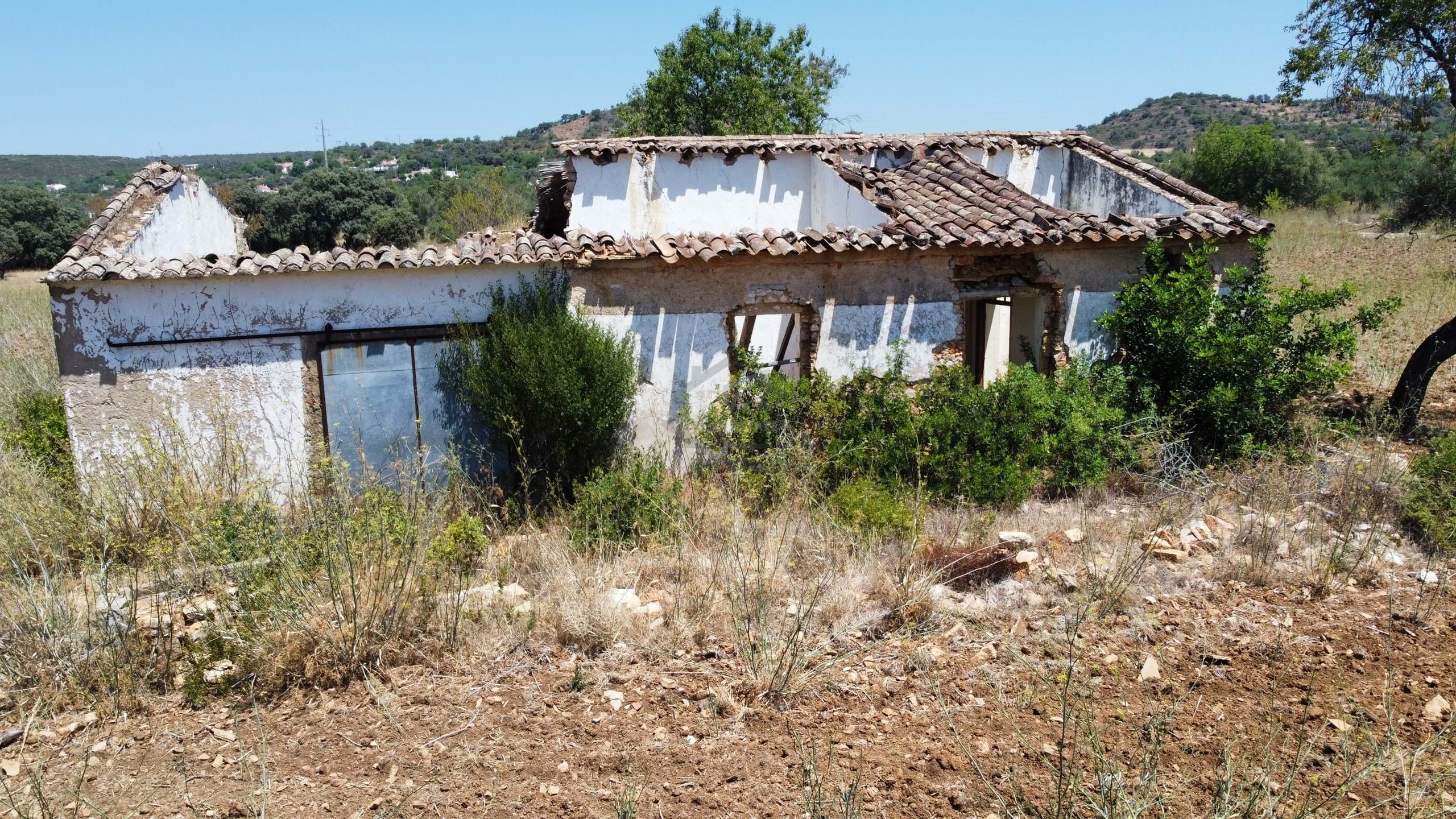 Land, For Sale Land, For Sale