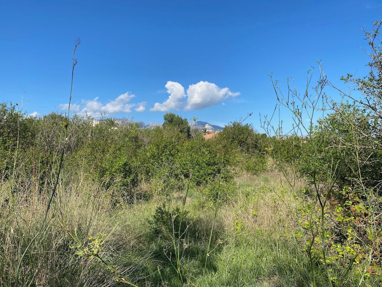 Alfaz del Pi, Alicante, ,For Sale,PAR0067 - OPF