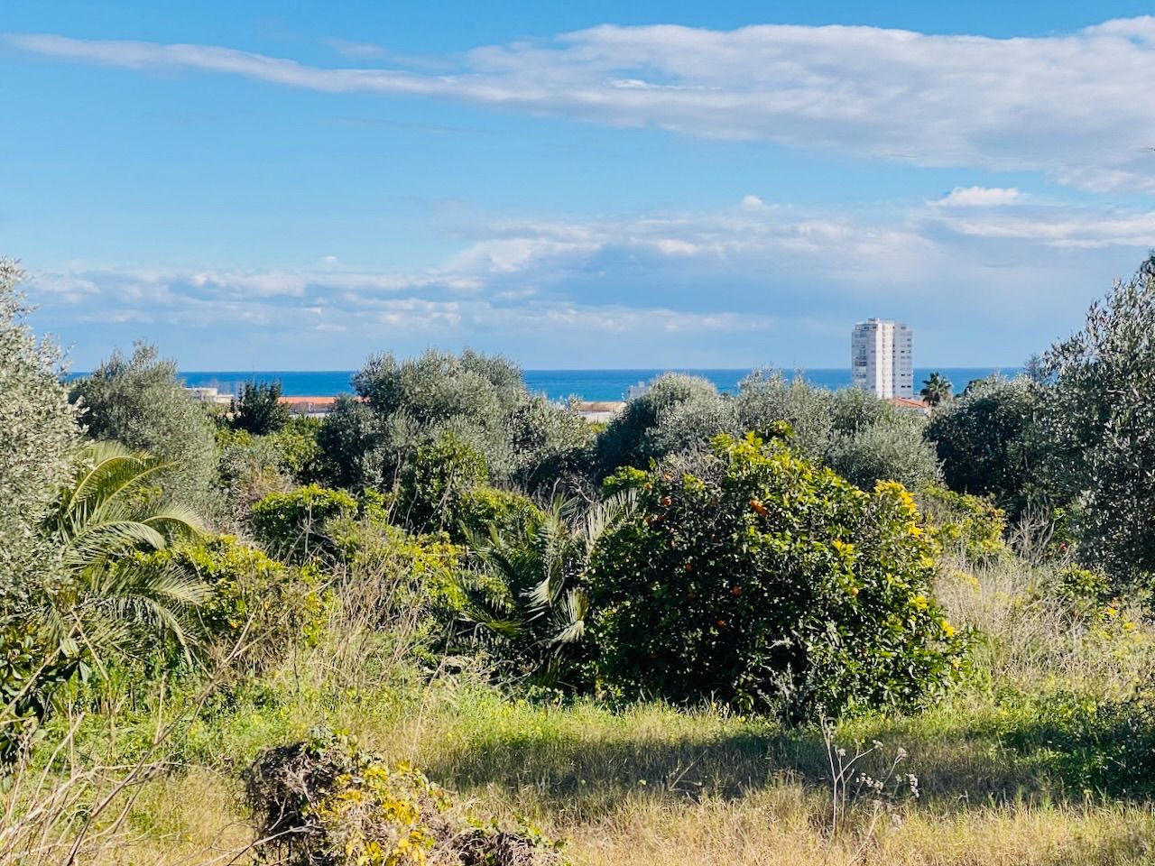 Alfaz del Pi, Alicante, ,For Sale,PAR0067 - OPF