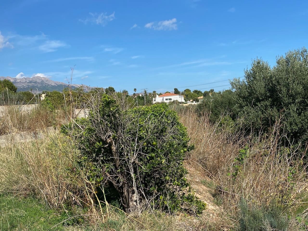 Alfaz del Pi, Alicante, ,For Sale,PAR0067 - OPF