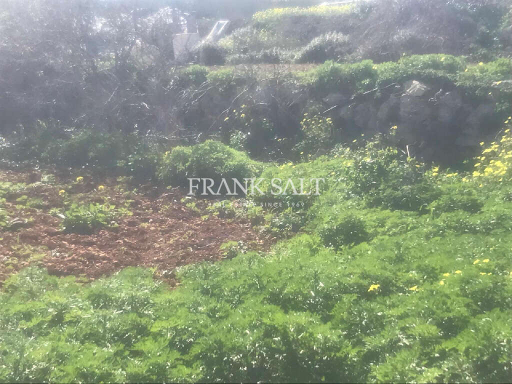 Commercial Property, For Sale