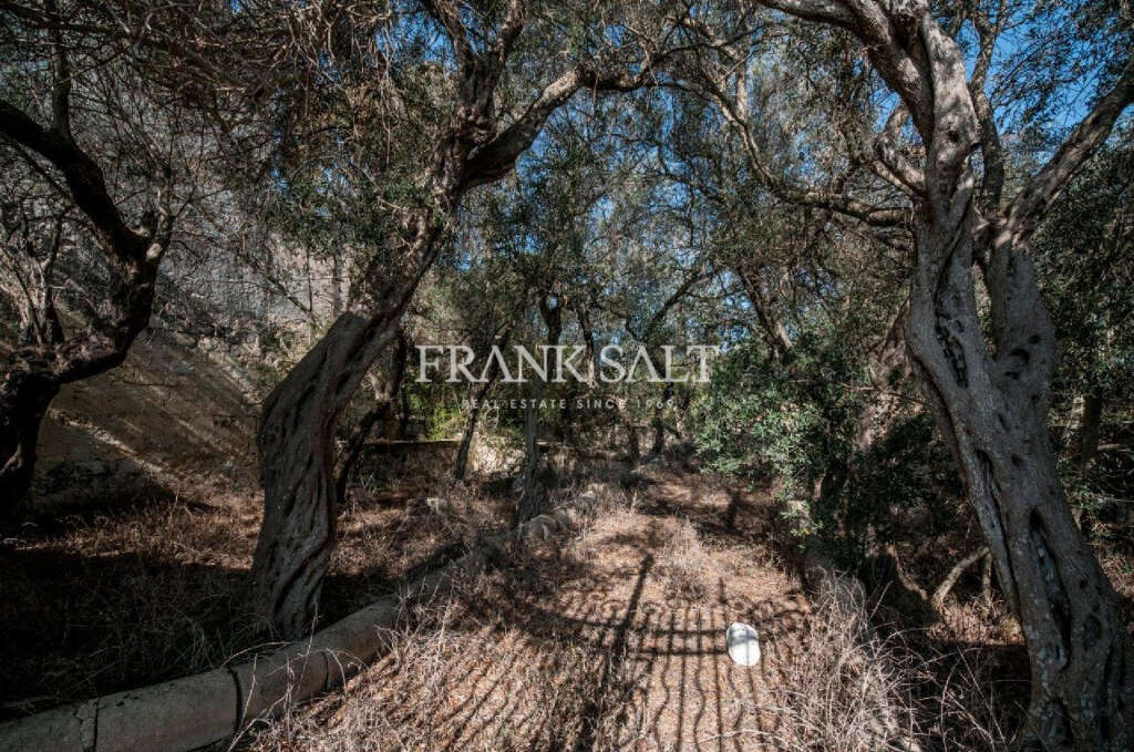 5 Bed, HouseFor Sale, Zebbug, Malta