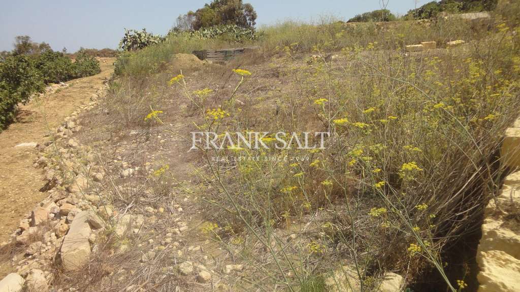 Commercial Property, For Sale