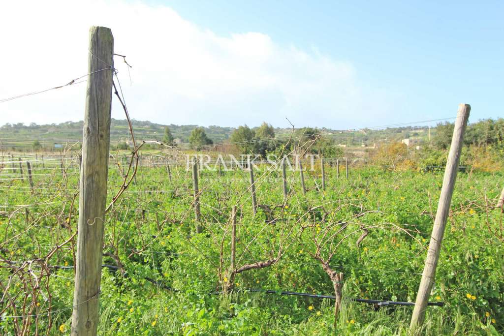 Commercial Property, For Sale